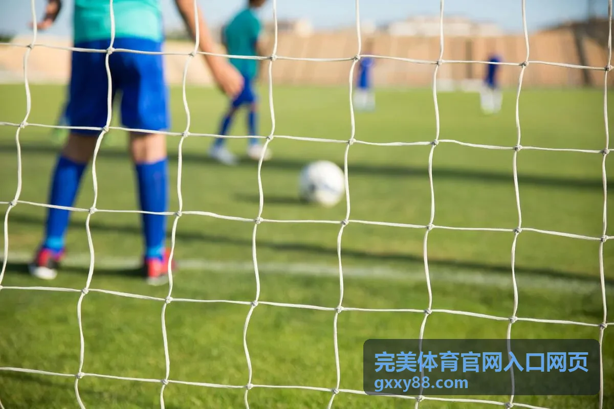 完美体育官网入口网页在手机端浏览的操作界面示意