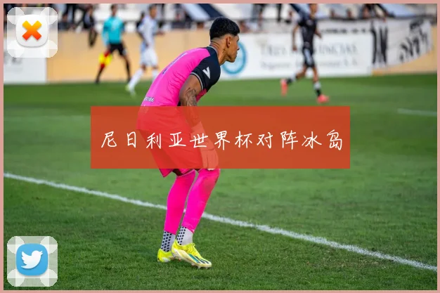 尼日利亚世界杯对阵冰岛