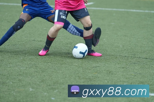 数据分析功能